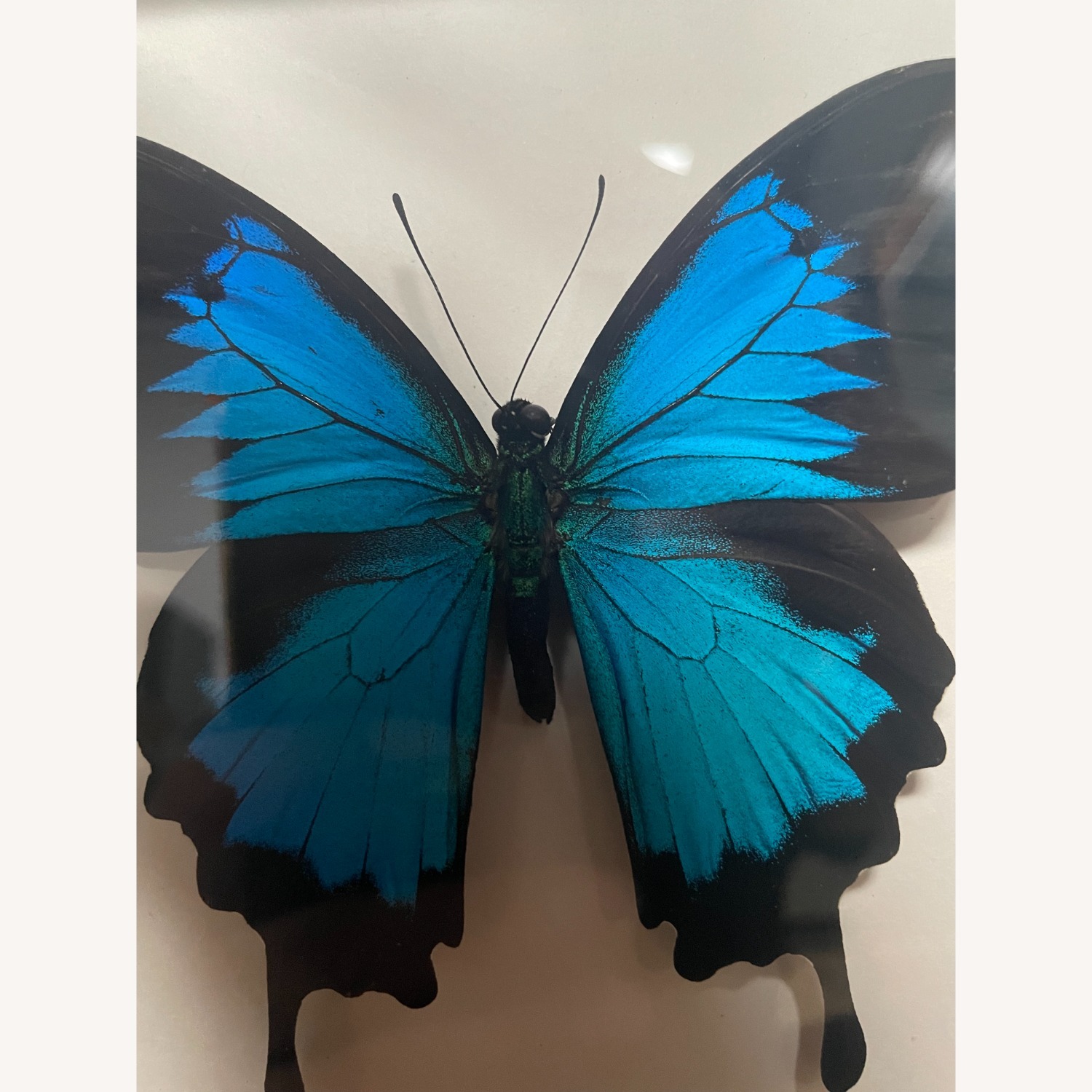 Vintage/Antique Picture Frame - image-2