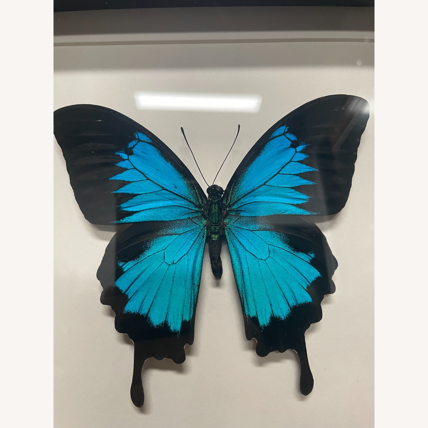 Vintage/Antique Picture Frame - image-7