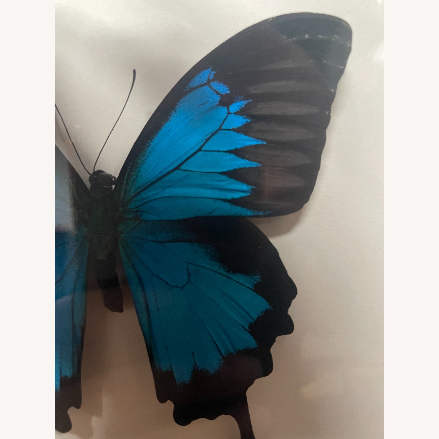 Vintage/Antique Picture Frame - image-4