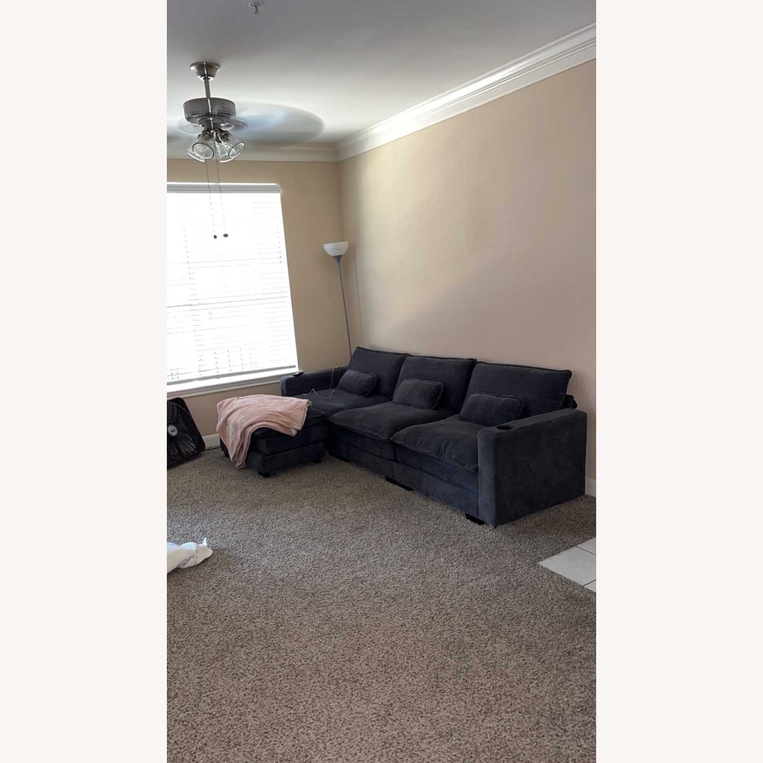 Amazon Gray Lounge Sofa - image-1