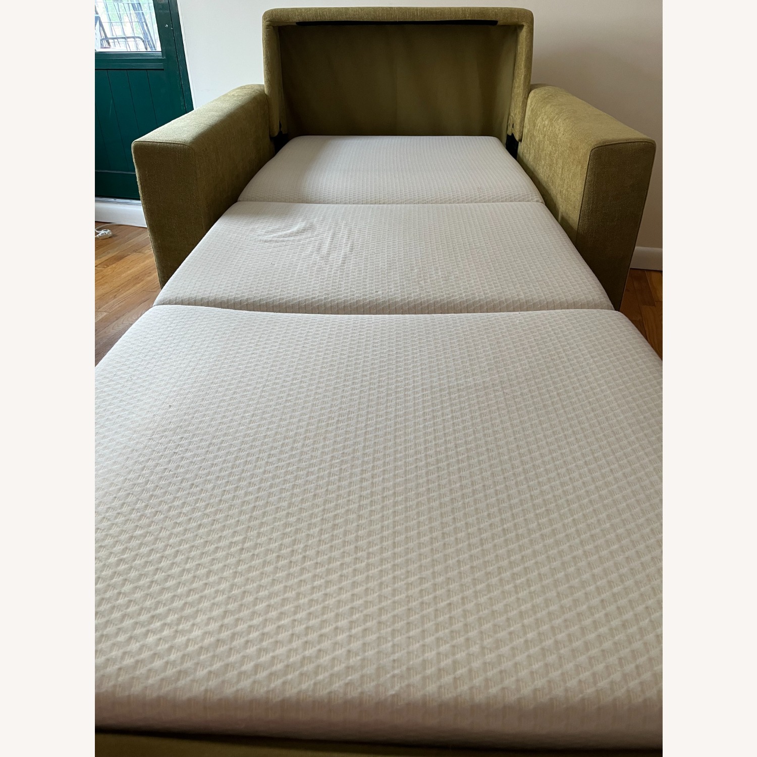 Crate & Barrel Allerton Twin Sleeper Sofa  - image-3