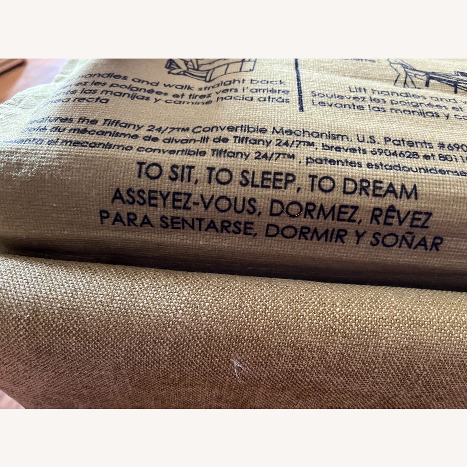 Crate & Barrel Allerton Twin Sleeper Sofa  - image-4