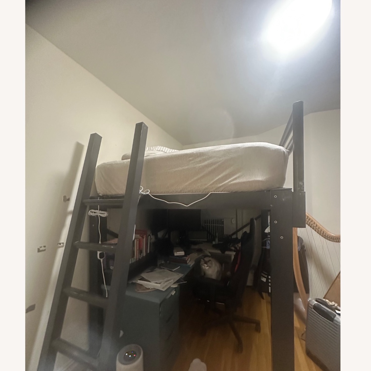 Adult Bunk Beds Bunk Bed - image-6