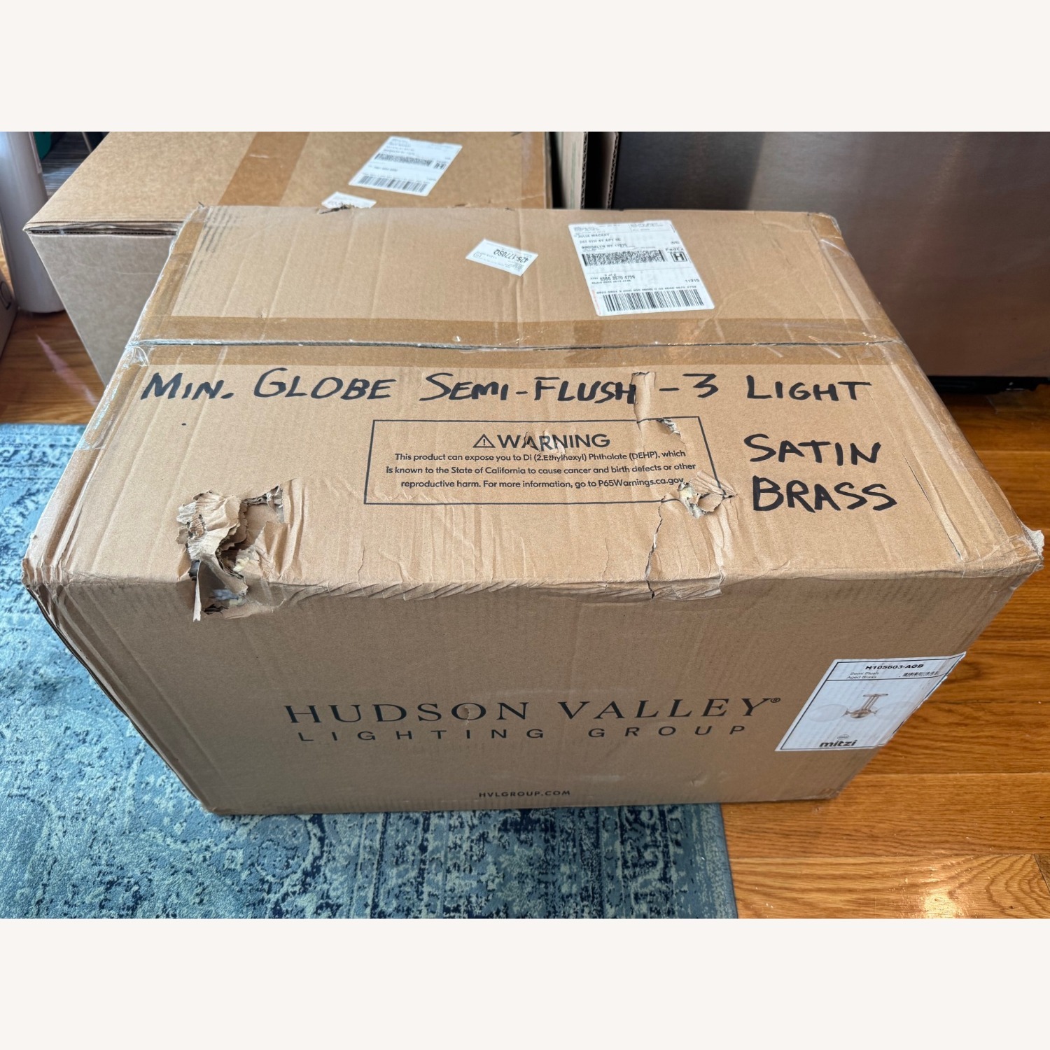 Hudson Valley Minimalist Globe Ceiling Light - image-1