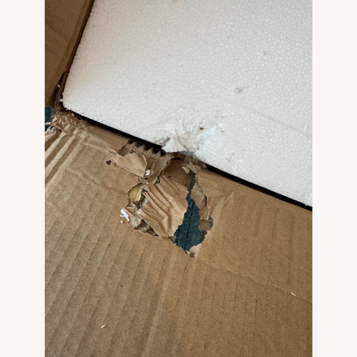 Hudson Valley Minimalist Globe Ceiling Light - image-4