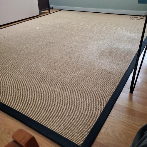 Used Natural Sisal Area Rug 9' x 12' for sale on AptDeco