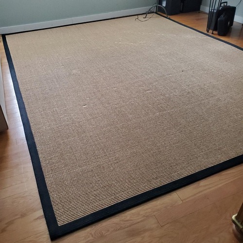 Used Natural Sisal Area Rug 9' x 12' for sale on AptDeco