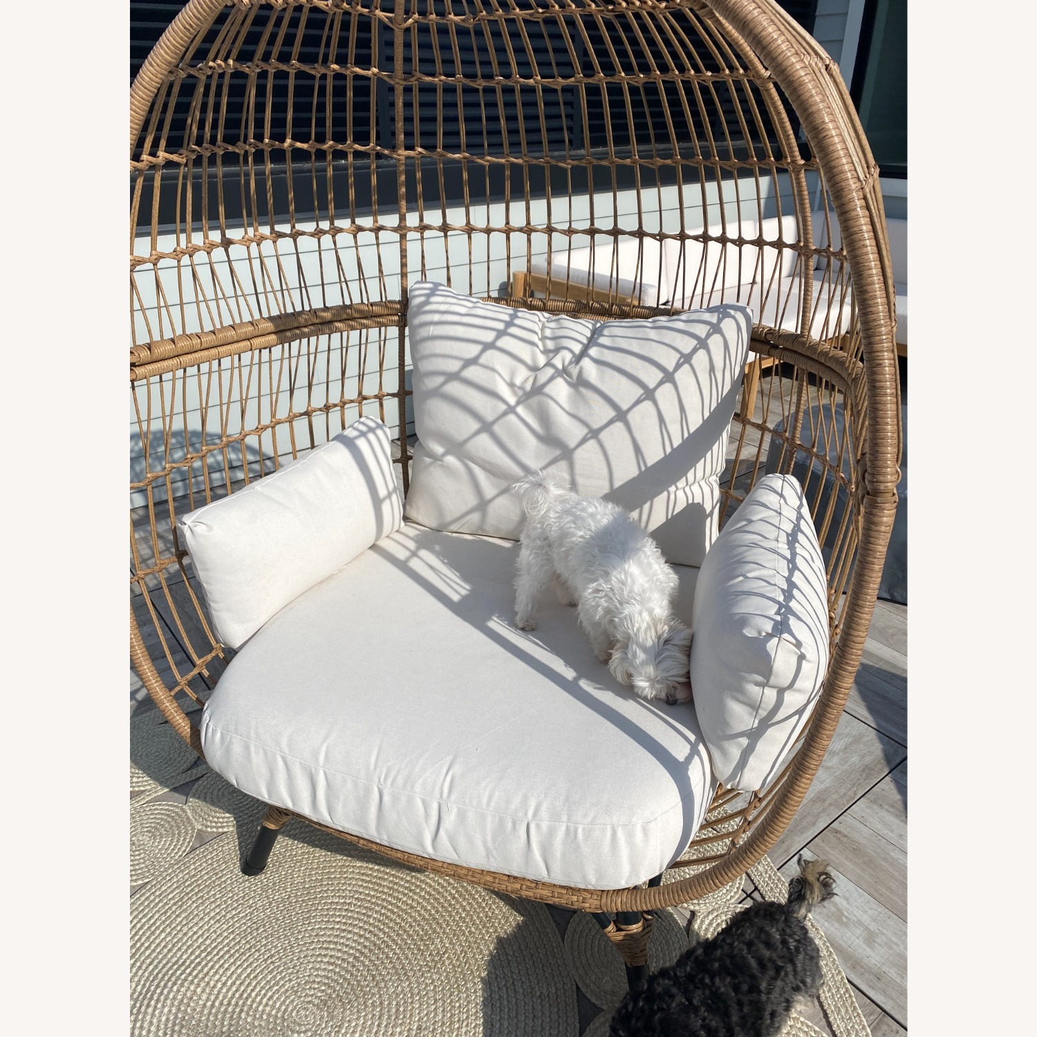 Target Southport Patio Egg Chair - image-1