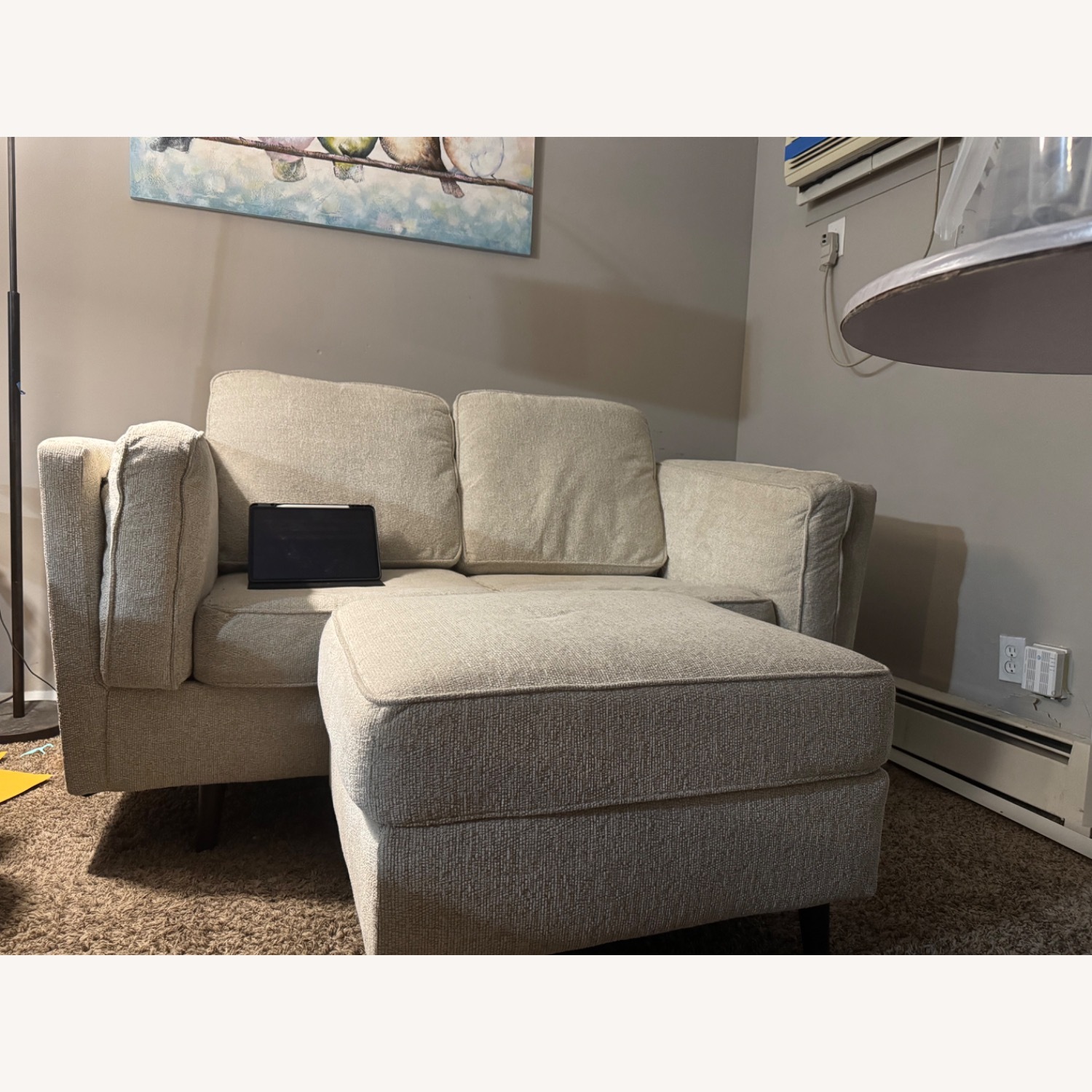 Loveseat and Ottoman - image-3
