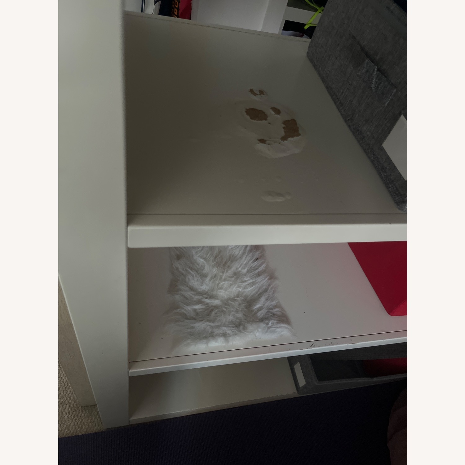 Pottery Barn Teen Rhys White Wood Bunk Bed - image-3