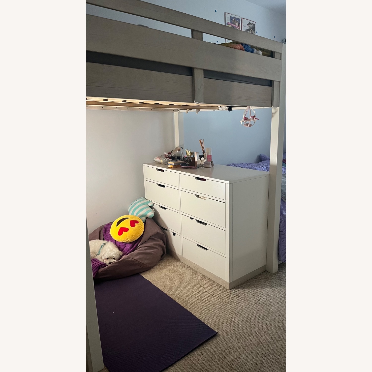 Pottery Barn Teen Rhys White Wood Bunk Bed - image-2