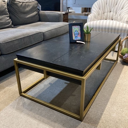 Used Article Oscuro Wood & Brass Coffee Table for sale on AptDeco