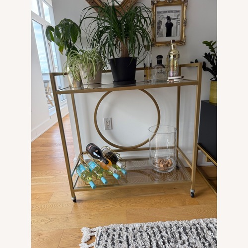 Used Urban Outfitters Claire Bar Cart  for sale on AptDeco