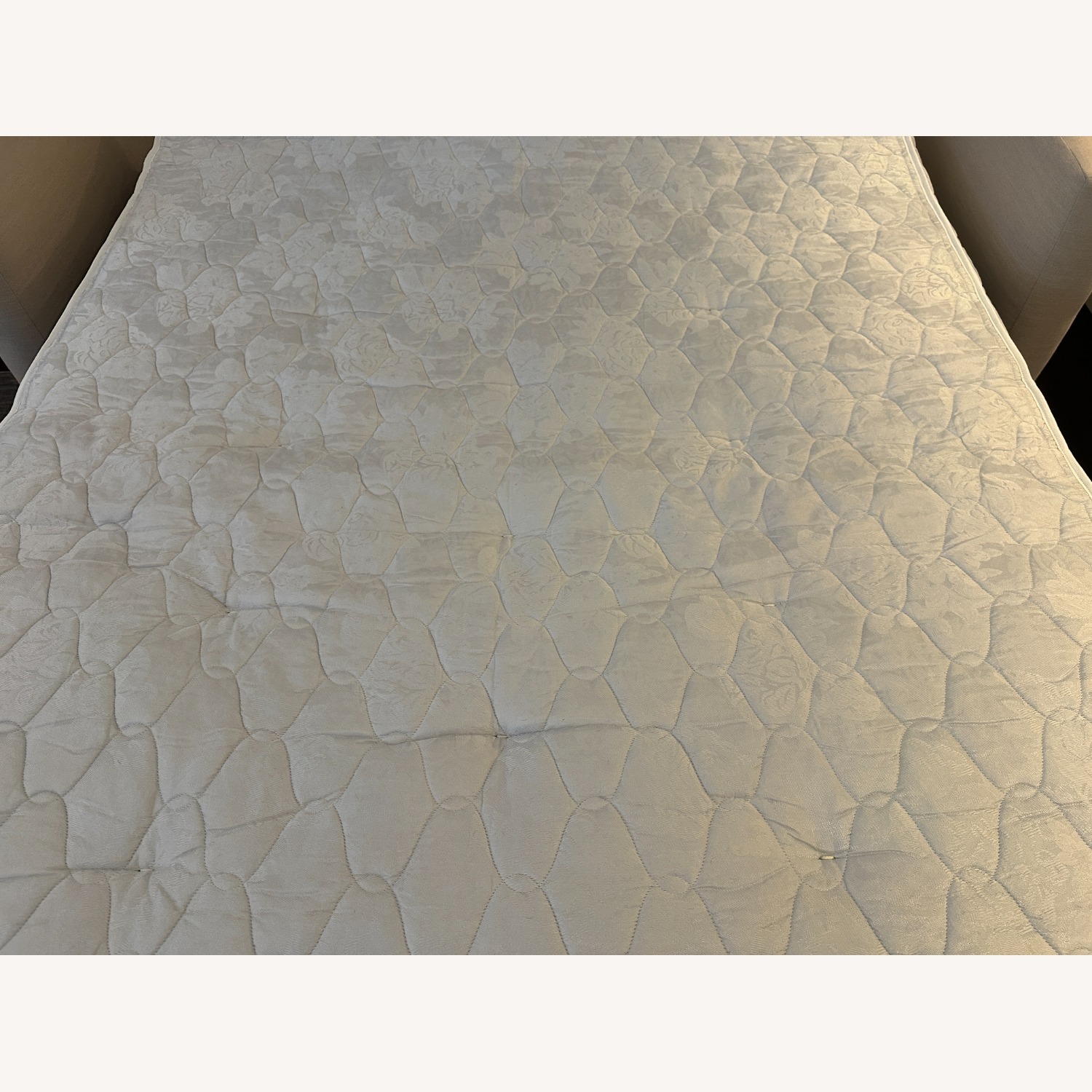 CB2 Movie 80" Sleeper Sofa - image-7