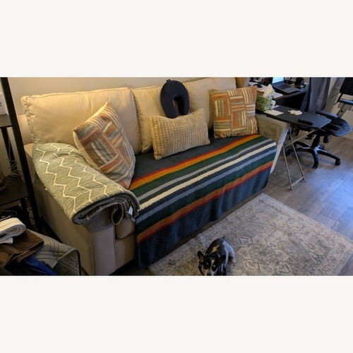 Used West Elm White Fabric Sleeper Sofa for sale on AptDeco