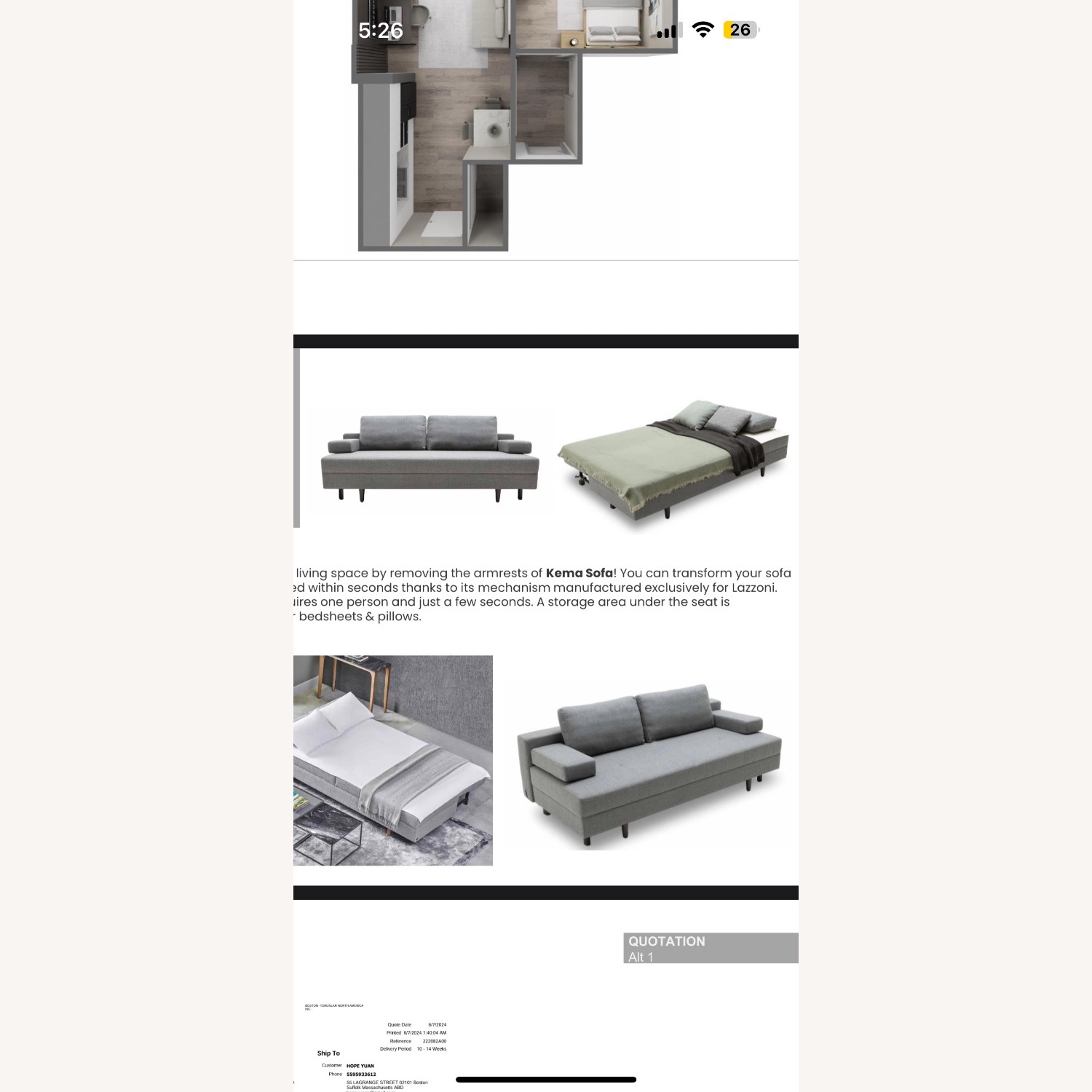 Lazzoni Light Gray Fabric Sleeper Sofa - image-4