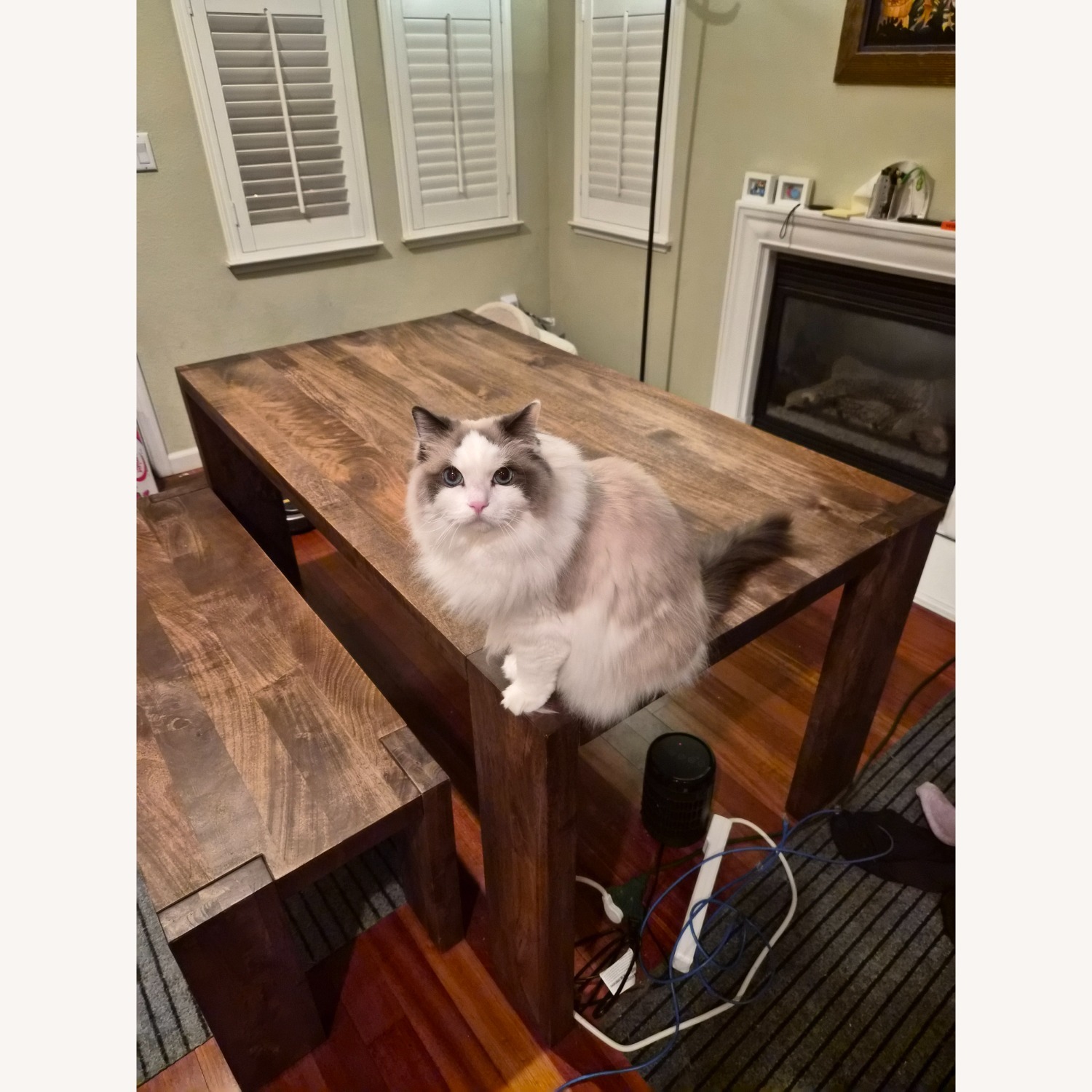 CB2 Blox Dining Table Mango Wood - image-6