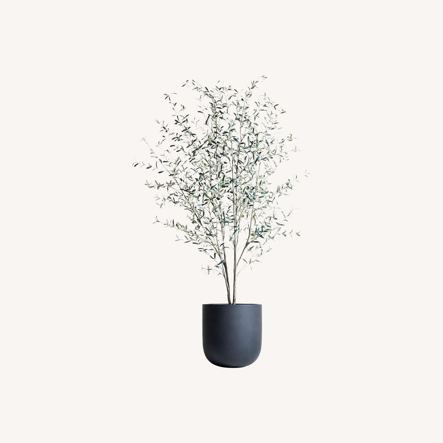 Crate & Barrel Faux Olive Tree in Terracotta Planter - image-0