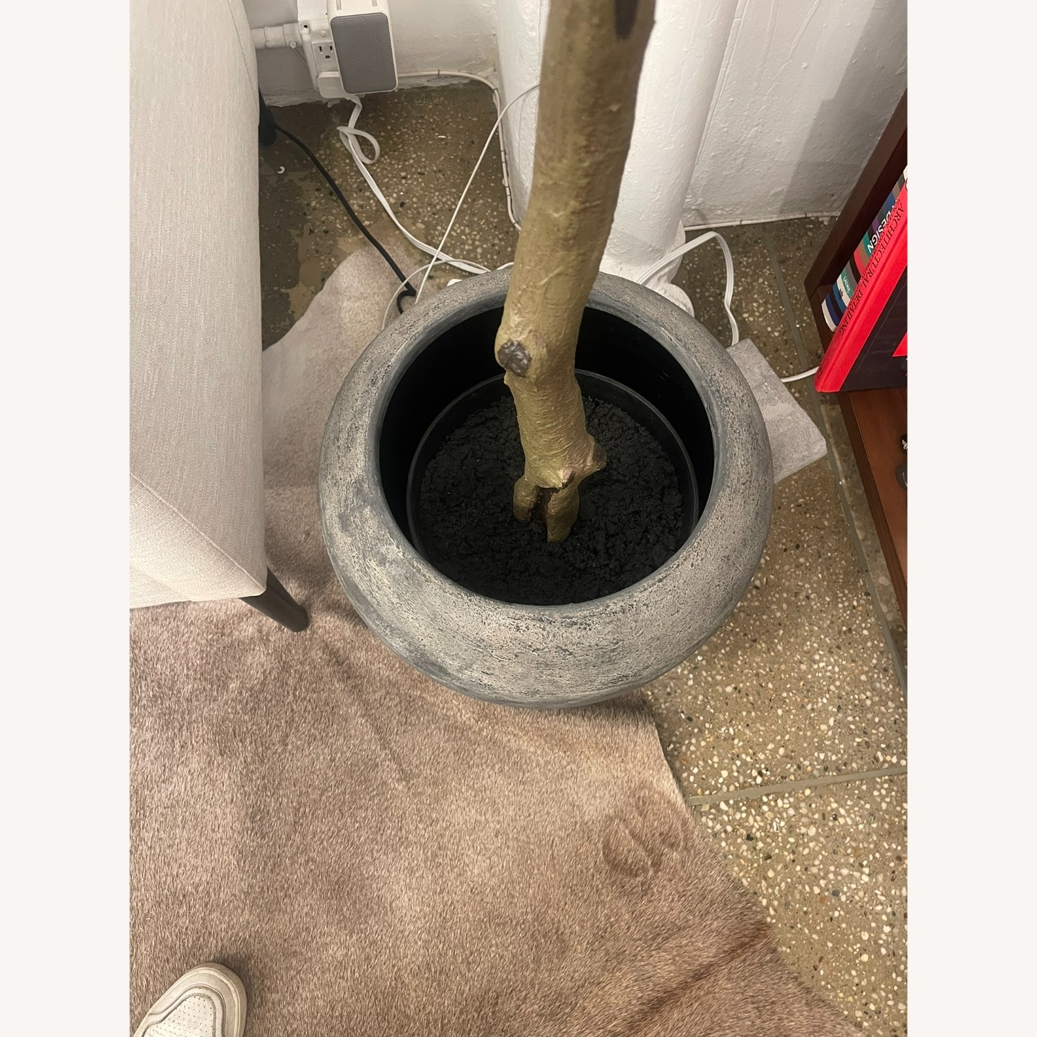 Crate & Barrel Faux Olive Tree in Terracotta Planter - image-3