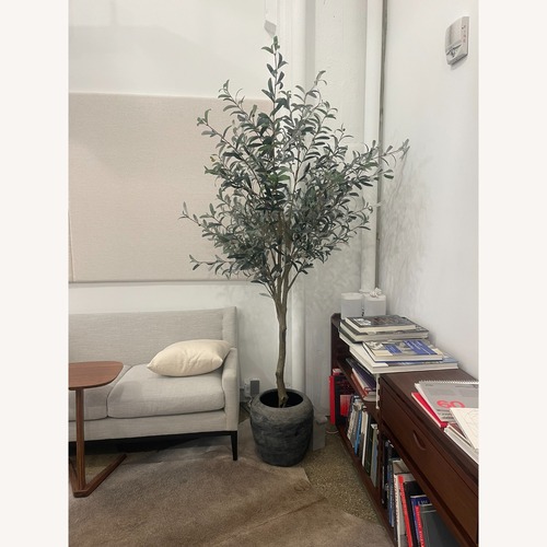 Used Crate & Barrel Faux Olive Tree in Terracotta Planter for sale on AptDeco