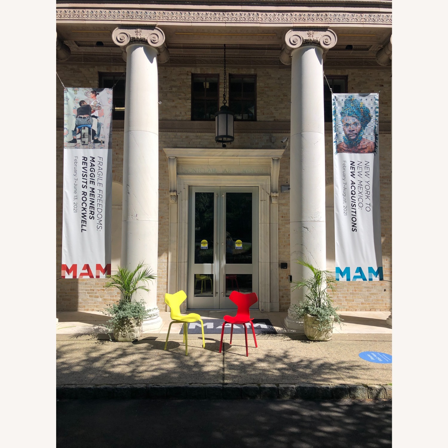 Elevate Your Home with Lively Color – Designer Chairs. - image-5