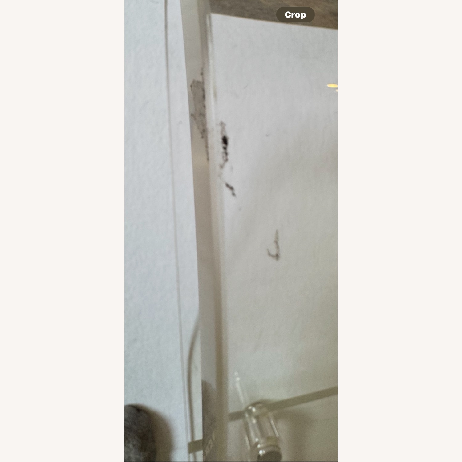 Kartell Transparent LCP Lounge Chairs - image-7