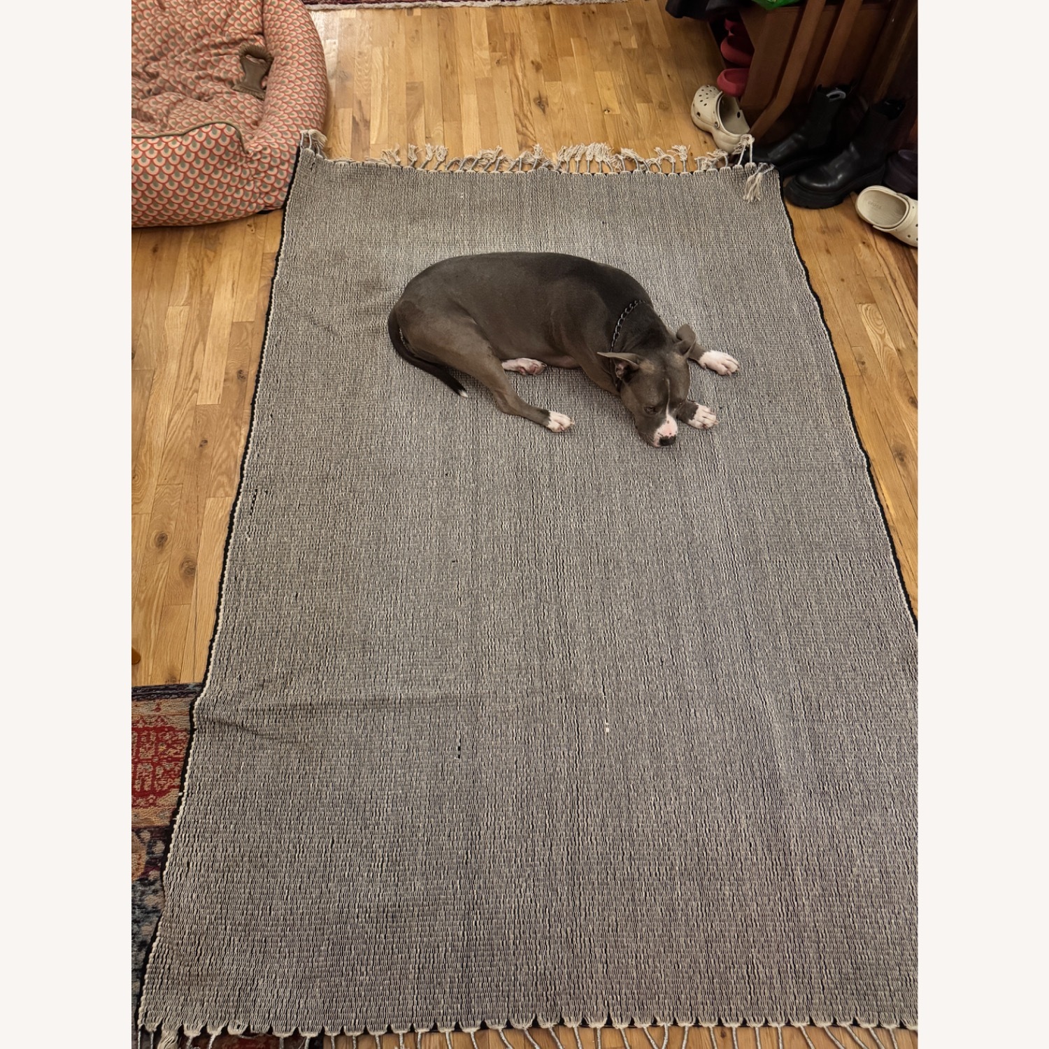 Woven Wool Moroccan Area Rug - image-2