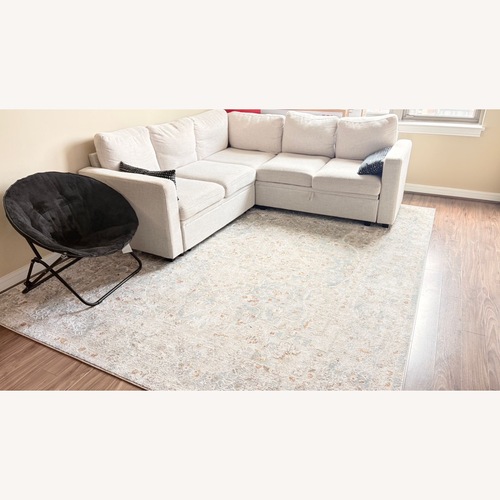 Used Natural Fabric Sleeper Sofa for sale on AptDeco