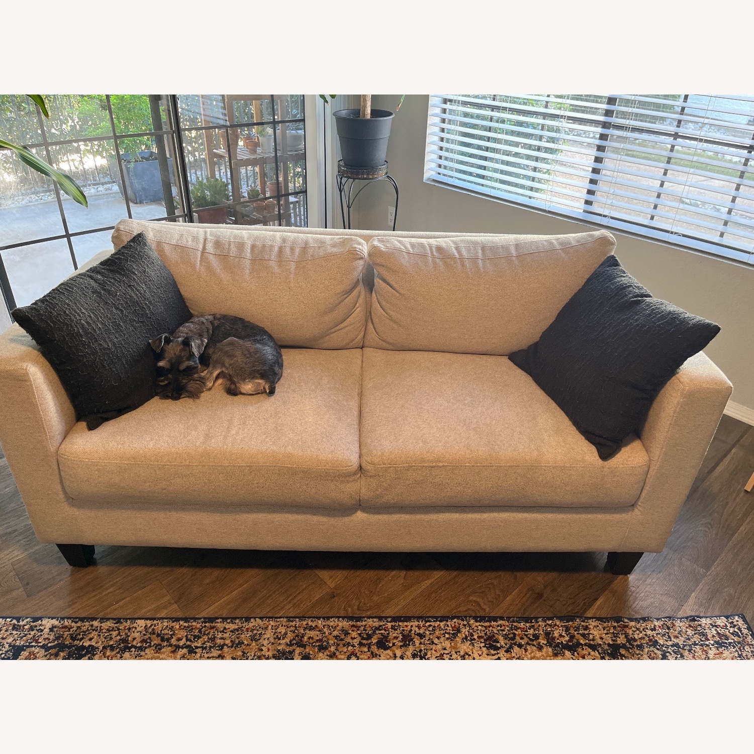 At Home Honeybloom Light Gray Fabric Loveseat - image-4