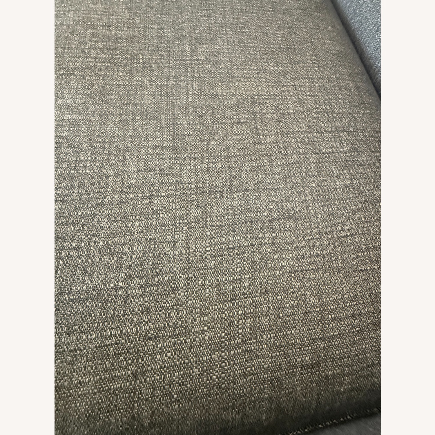 Room & Board André Mid-century Sofa - image-5