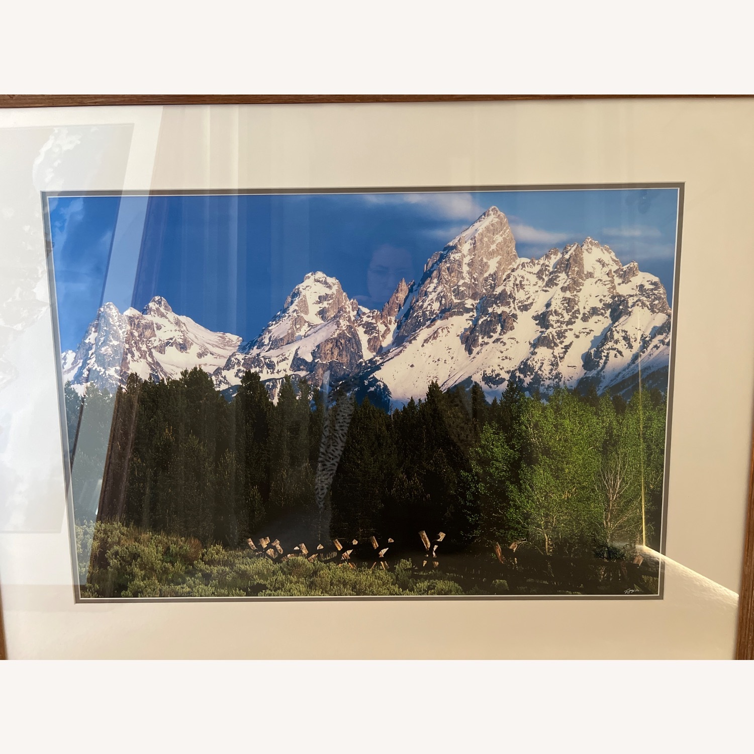 Dark Brown Glass Wall Art - image-3