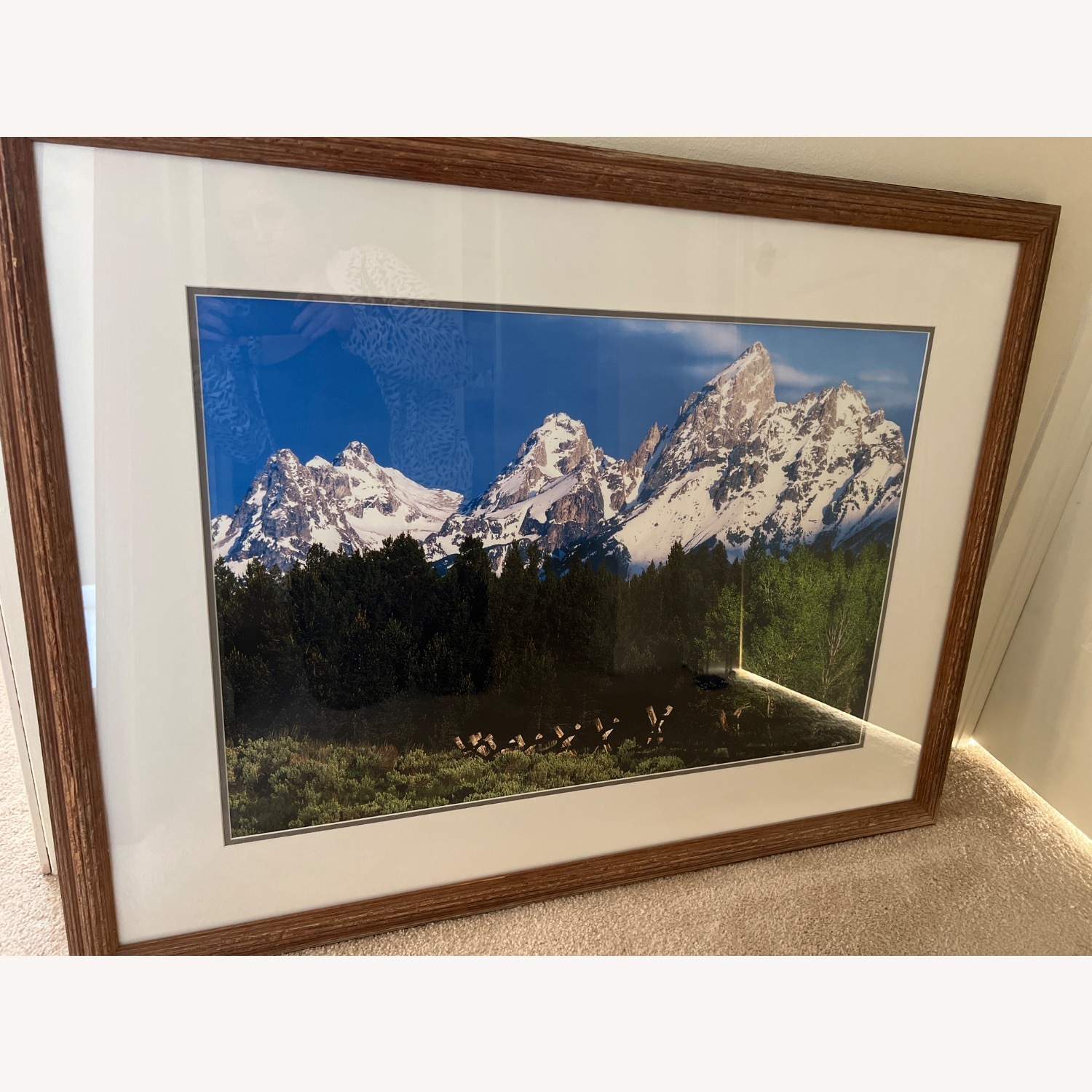 Dark Brown Glass Wall Art - image-2