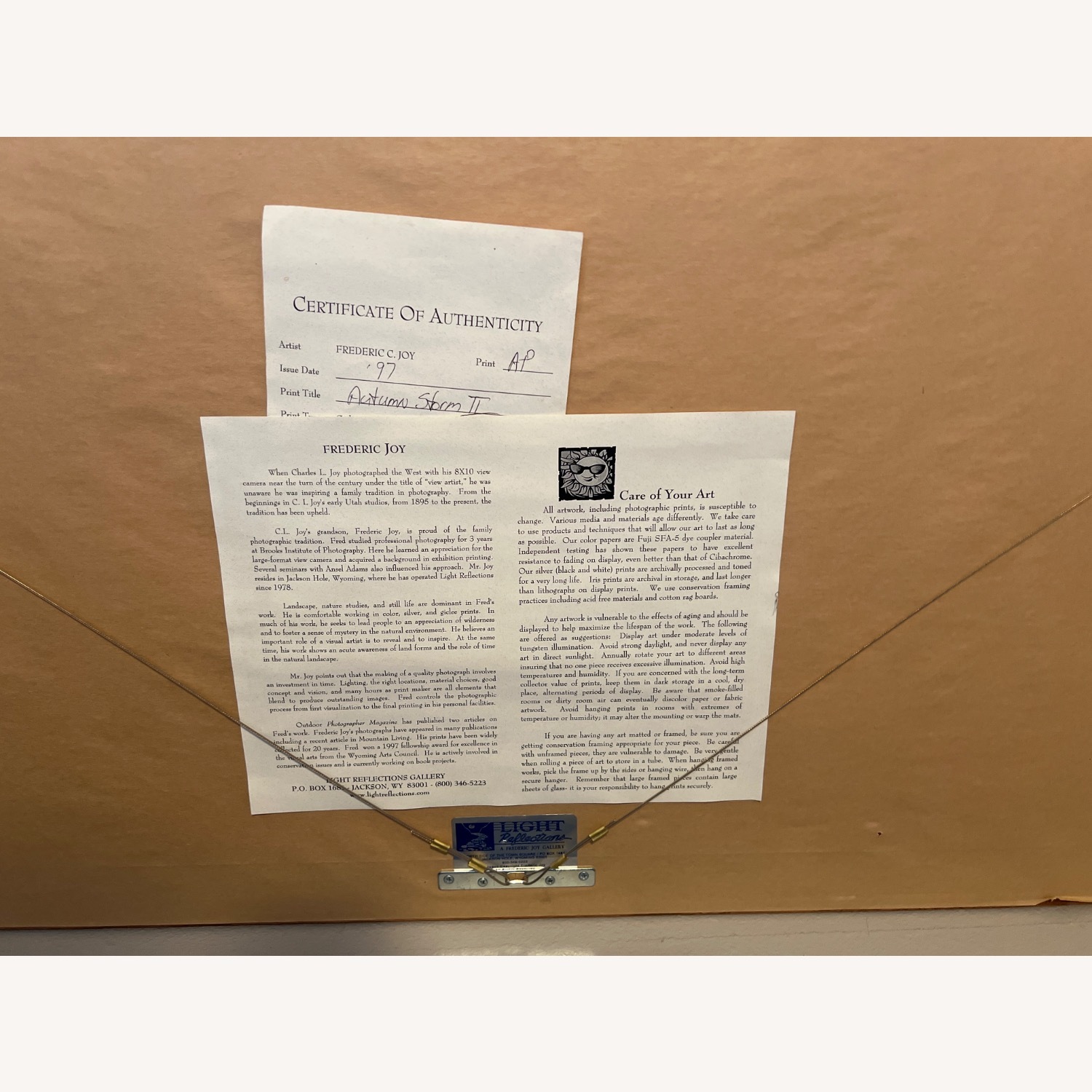 Frederic Joy Autumn Storm Framed Photography - image-5