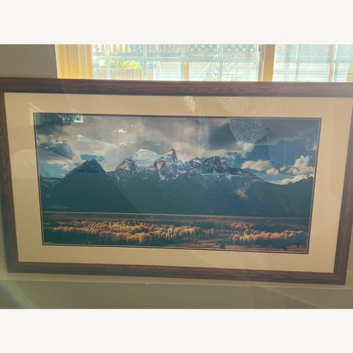Used Frederic Joy Autumn Storm Framed Photography for sale on AptDeco