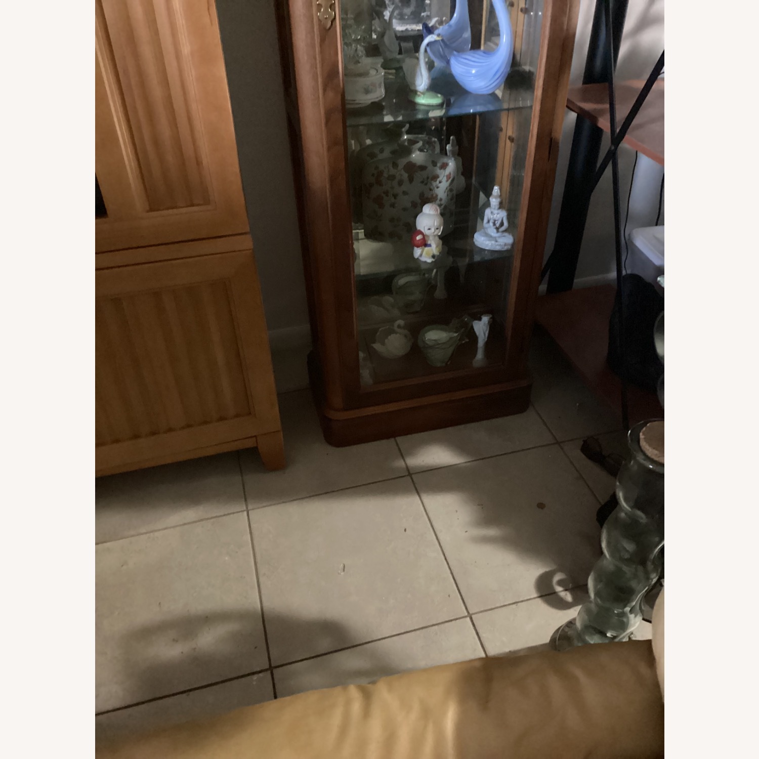 Amira Curio - image-3