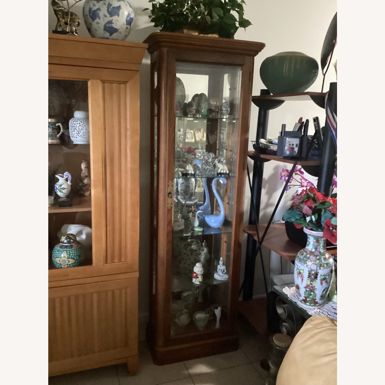 Amira Curio - image-2