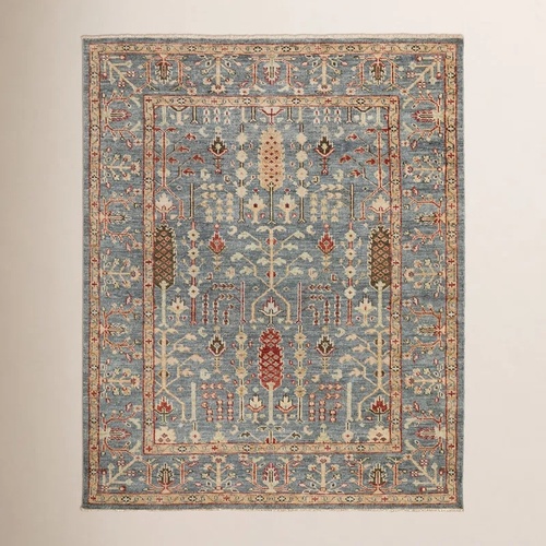 Used Birch Lane Brandonville Hand Knotted Rug for sale on AptDeco