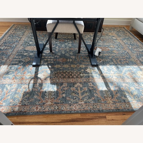 Used Birch Lane Brandonville Hand Knotted Rug for sale on AptDeco