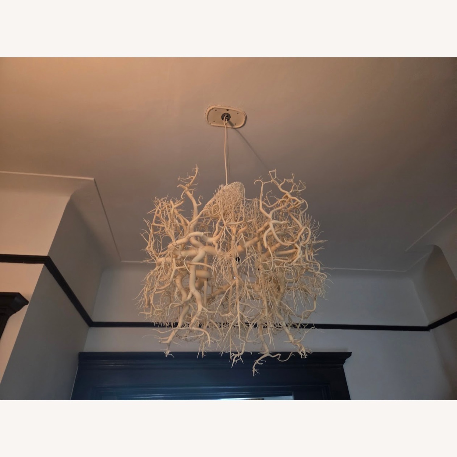 HildenDiaz "Forms In Nature" White Ceiling Lamp - image-4