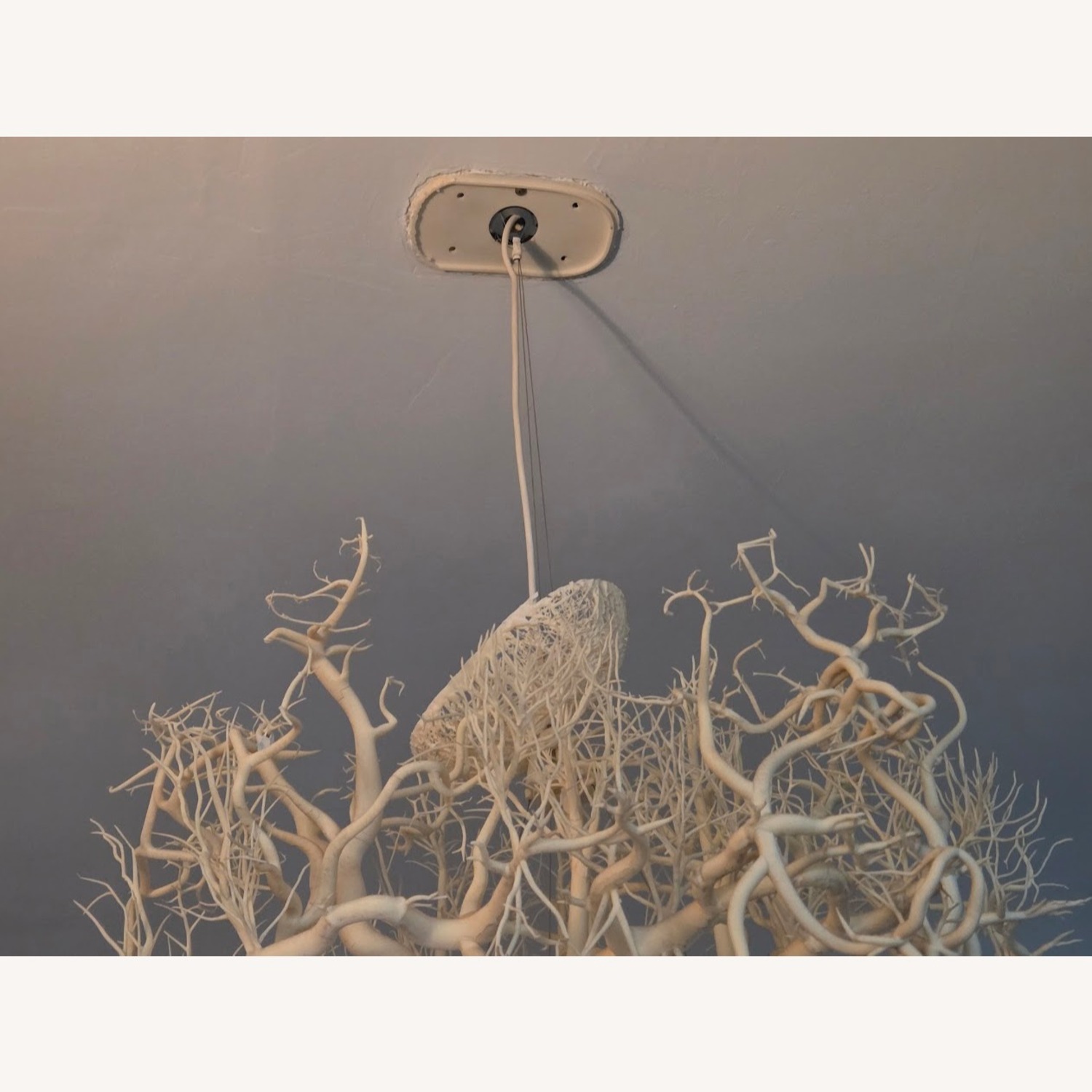 HildenDiaz "Forms In Nature" White Ceiling Lamp - image-3