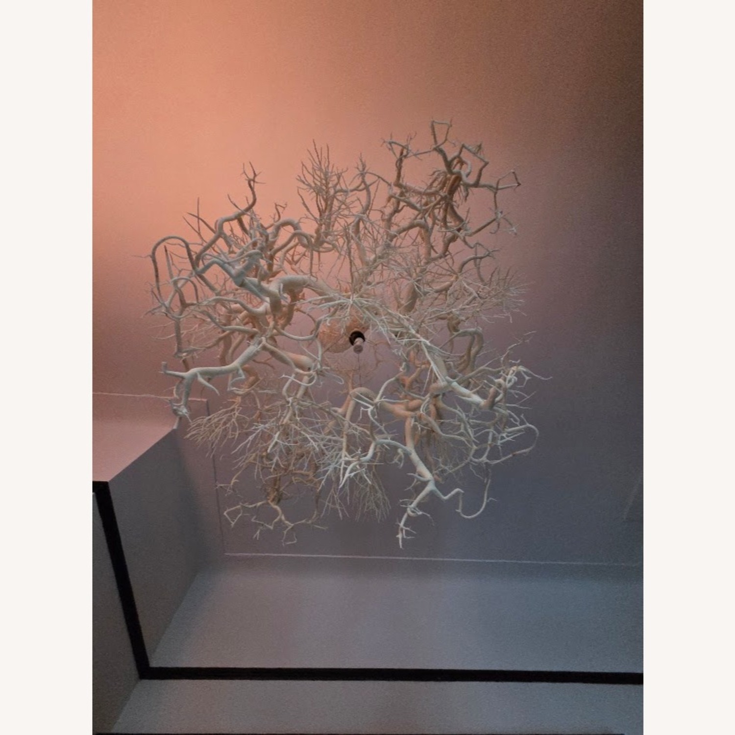 HildenDiaz "Forms In Nature" White Ceiling Lamp - image-5