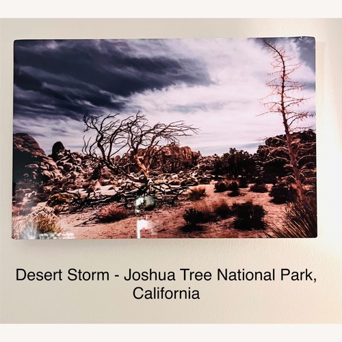 Used Glossy Metallic Nature Prints for sale on AptDeco