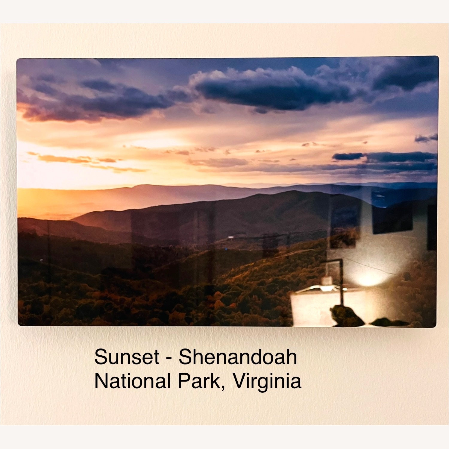 Glossy Metallic Nature Prints - image-3