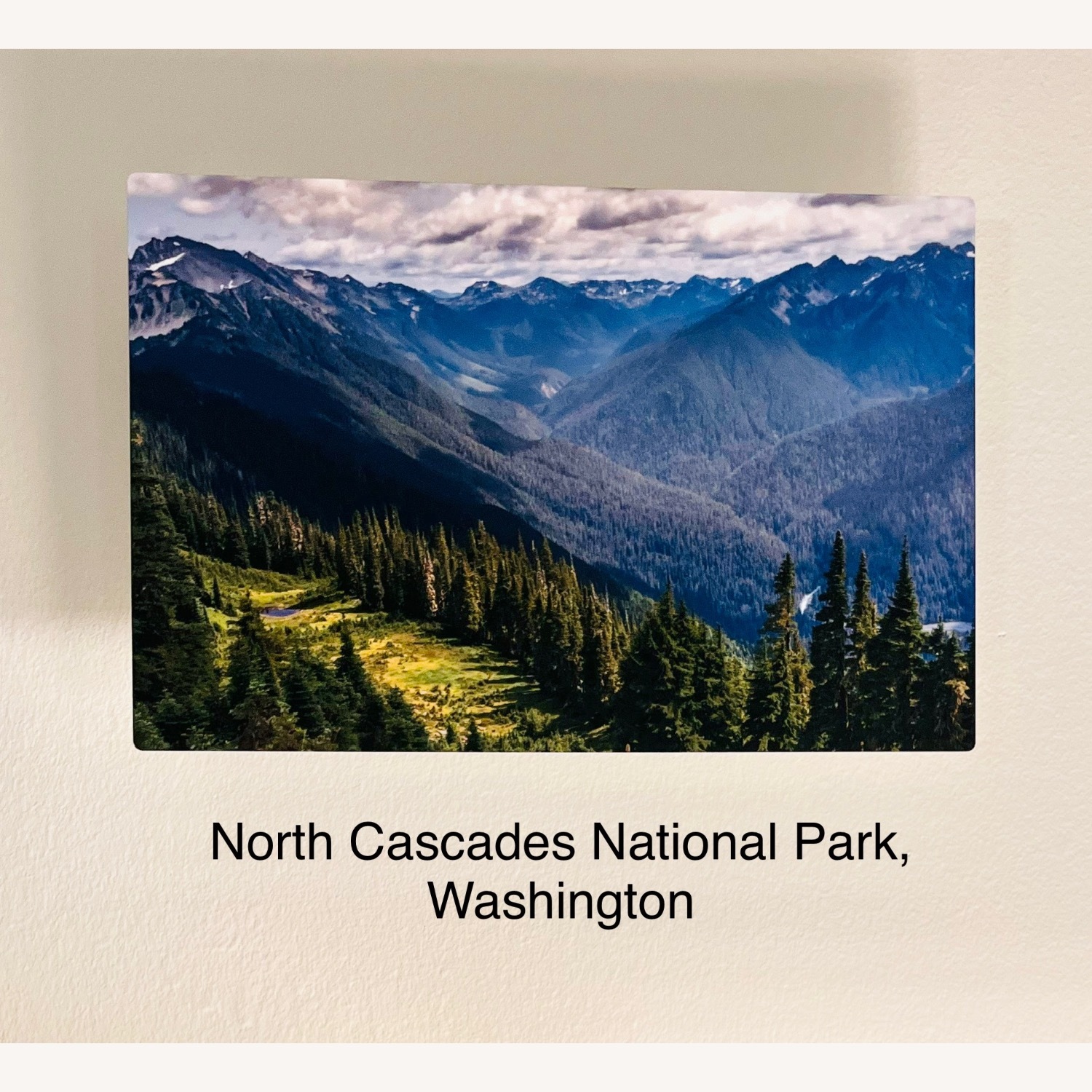 Glossy Metallic Nature Prints - image-2