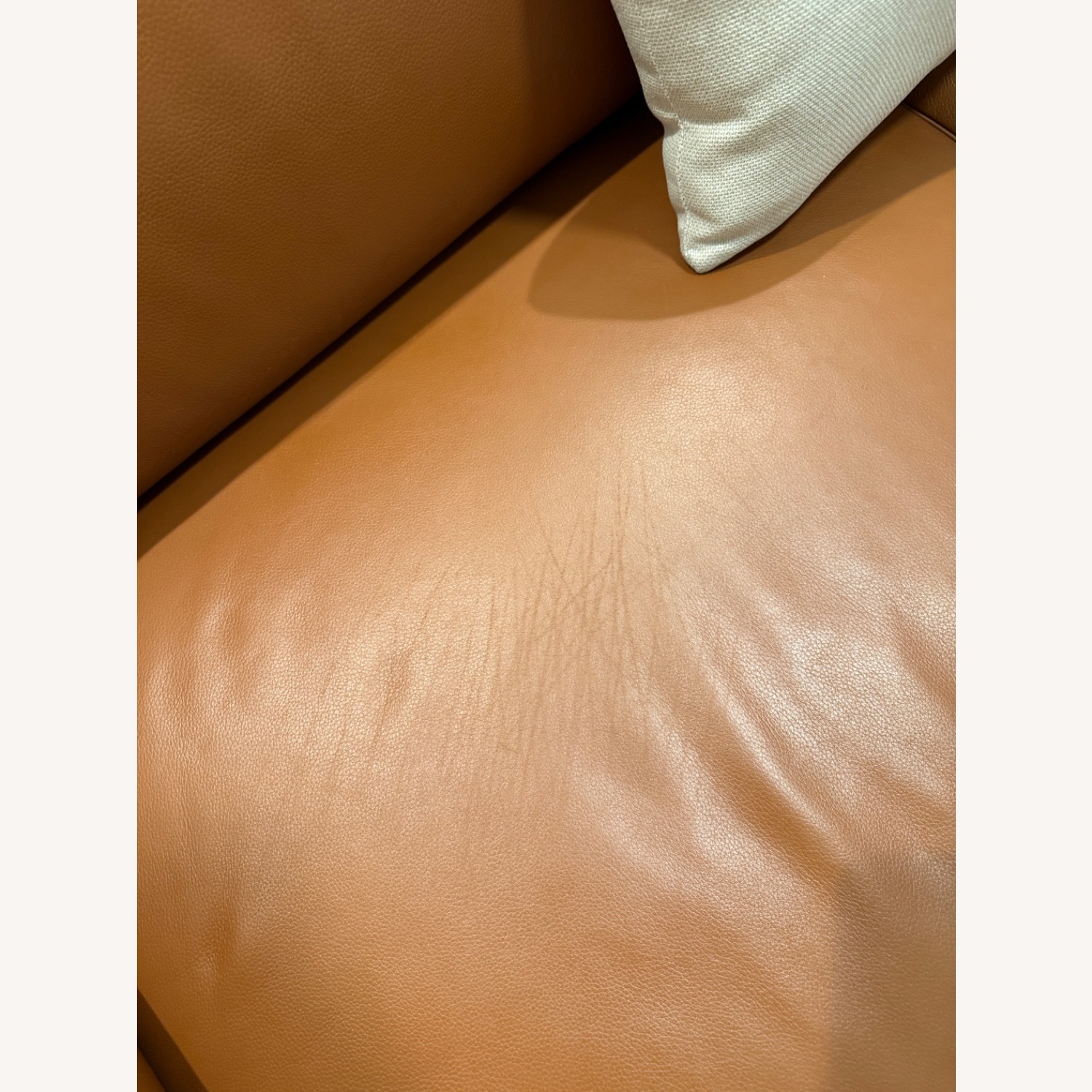 Design within Reach Outline Leather Sofa - image-5