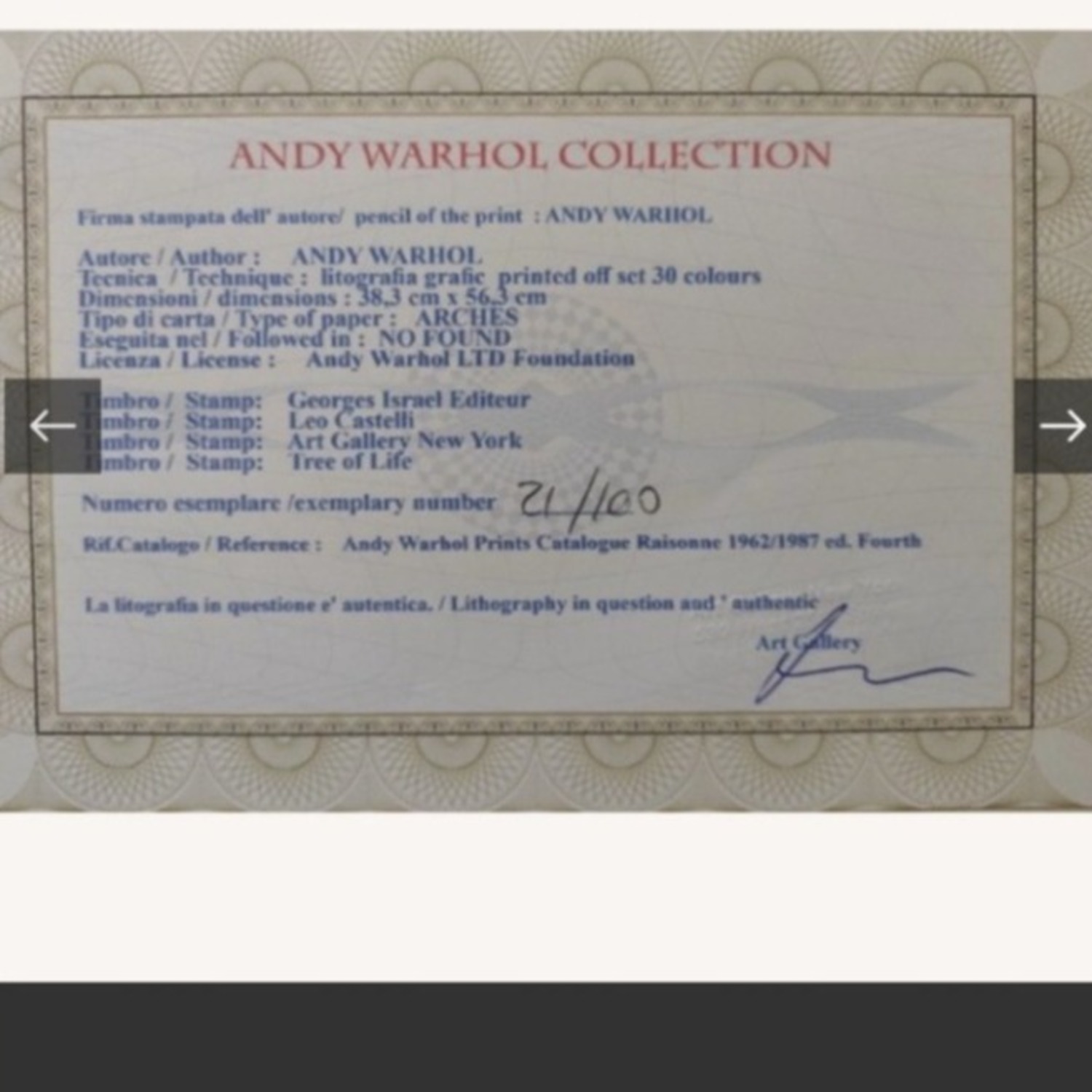 Vintage/Antique Finds Wall Art - image-5