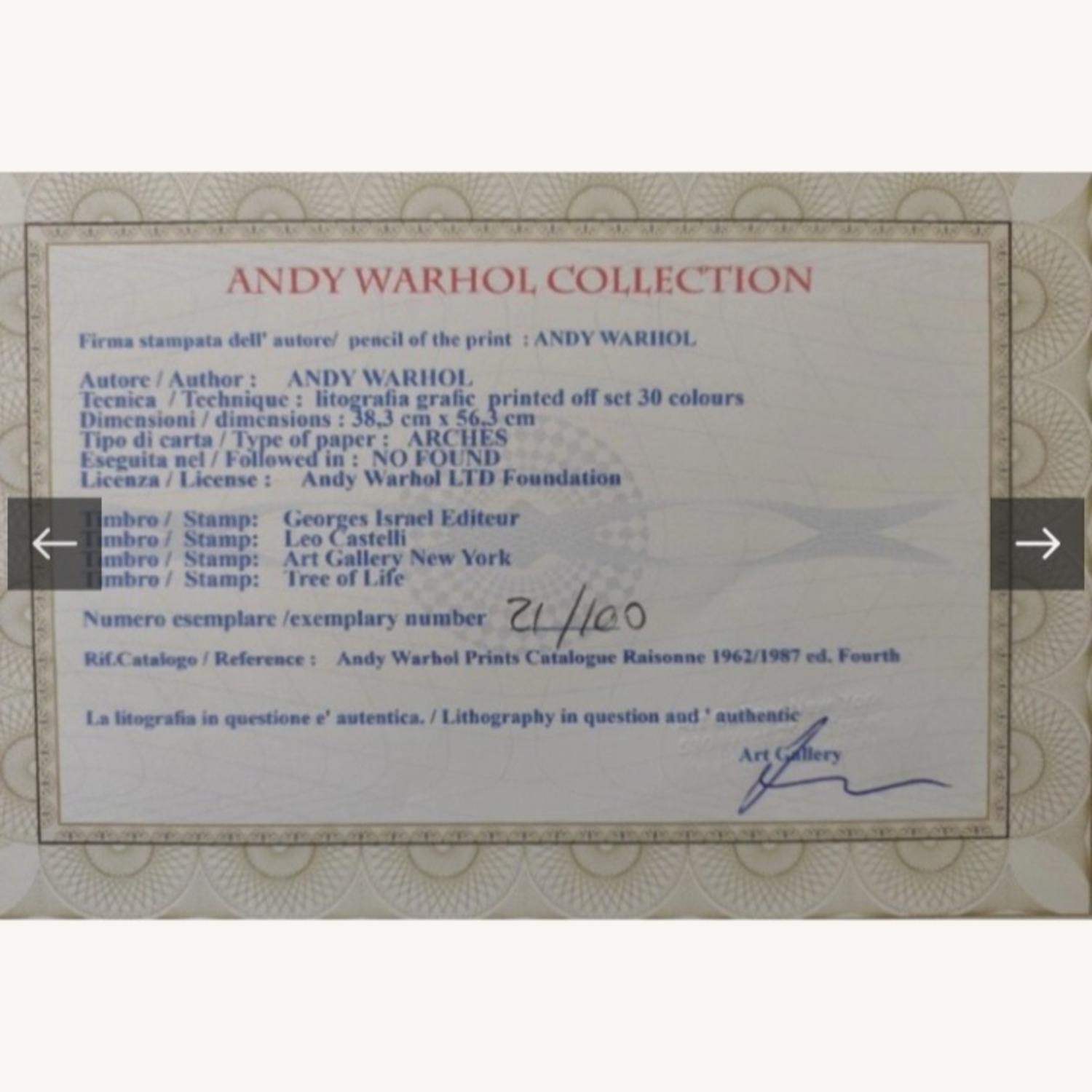 Vintage/Antique Finds Wall Art - image-3