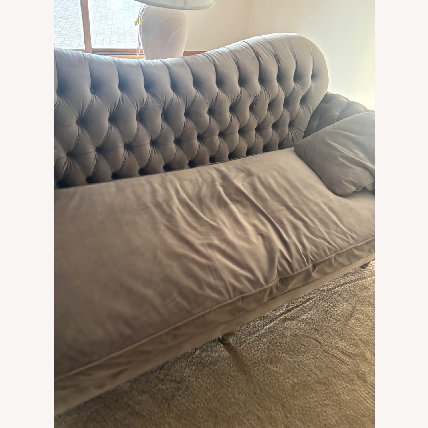 Arhaus Light Gray Velvet 3+ Seater Sofa - image-3