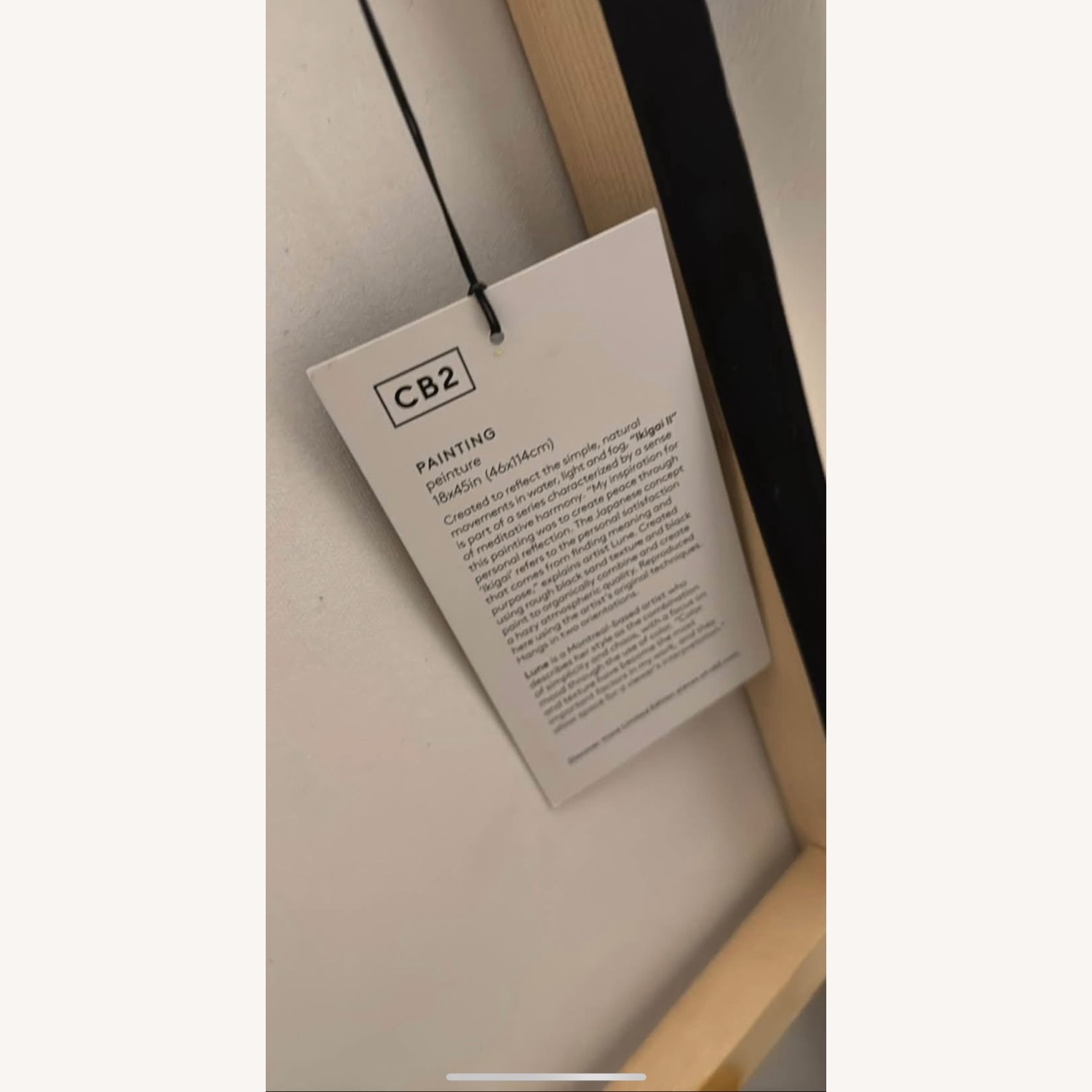 CB2 Ikigai' Acrylic Wall Art Set of 3 - image-3