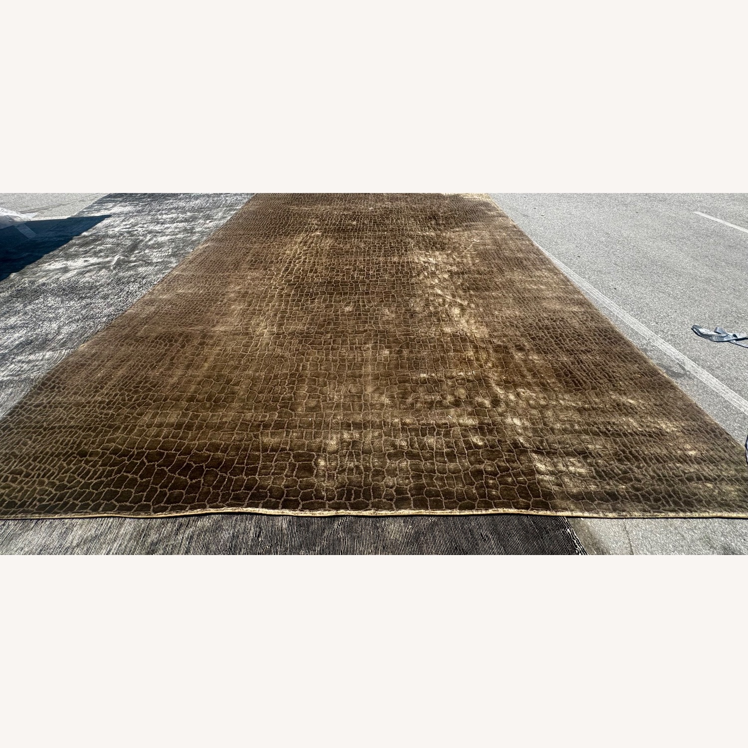 Armani Casa Tutankhamon Dark Brown Area Rug 12' x 15' - image-1
